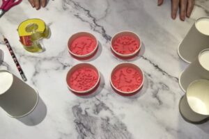 four silicone ornament moulds with fitted paper cup rings